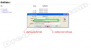 วิธีการใช้ IDM เพื่อดาวน์โหลด ไฟล์บิทโคโล จาก โคโล เซิฟเวอร์ - Step 3